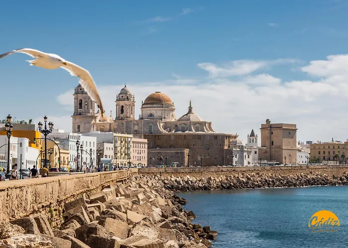 Bajo El Falla By Cadiz Time